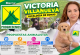 Ex-oficial de la PNP y líder vecinal, Victoria Villanueva, postula a la alcaldía de Comas con un plan integral basado en inteligencia policial y bienestar social
